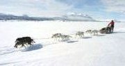 voyage laponie finlande traineau chiens huskies husky 2021 2022